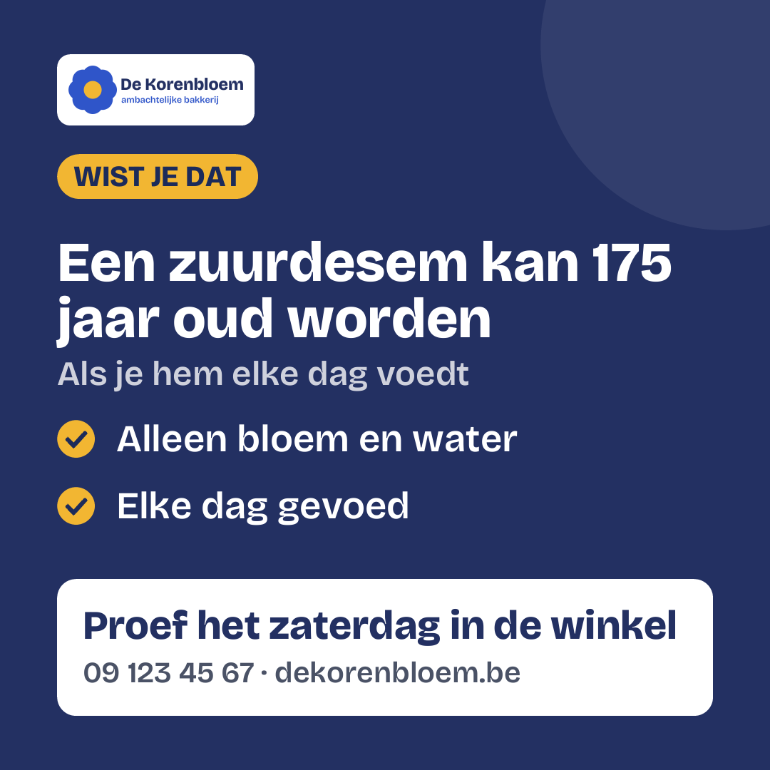 Vierkant 1:1