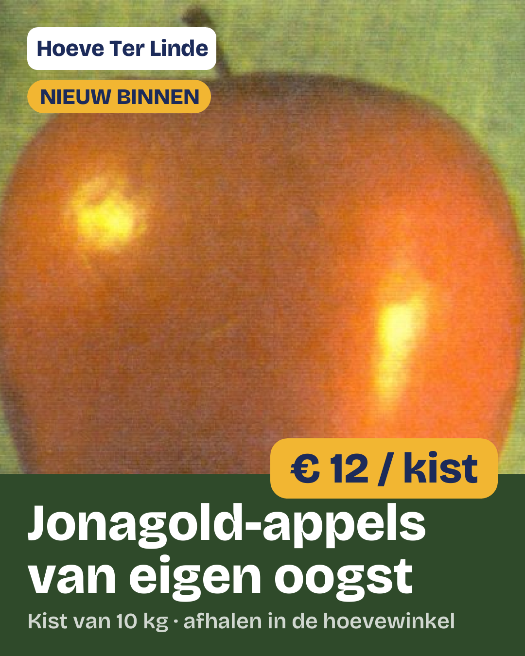 Staand 4:5