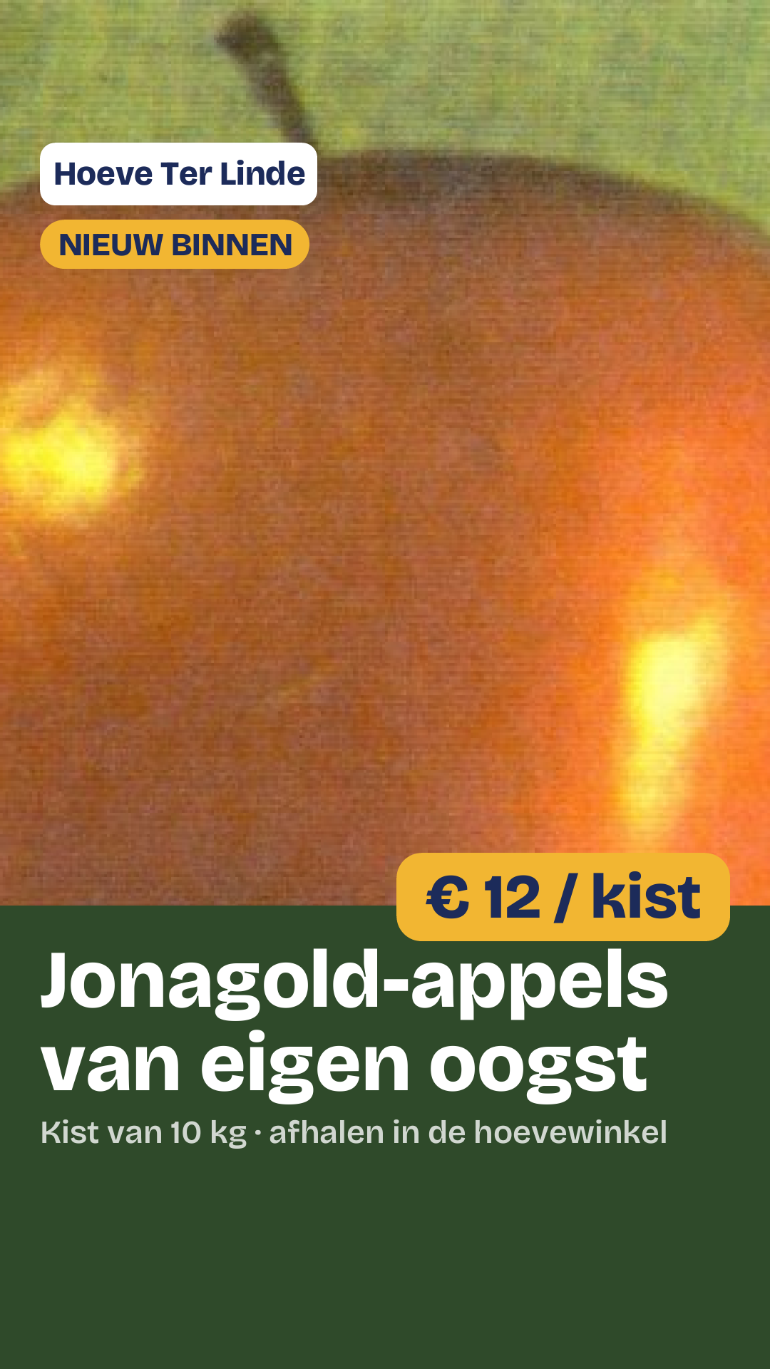 Verhaal 9:16